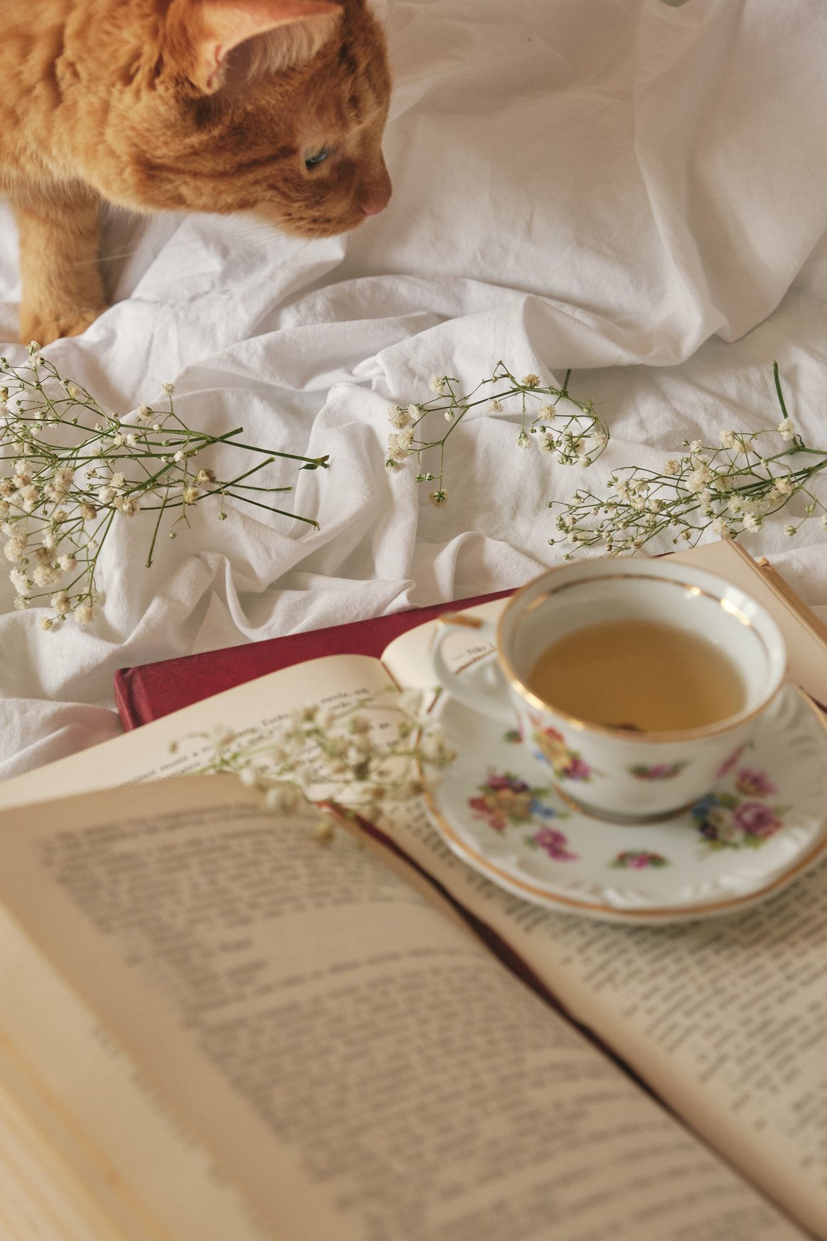 Tea with Flowers on Opened Book